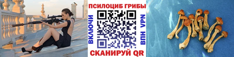 Купить  Палласовка  Псилоцибиновые грибы мицелий 